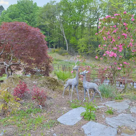 Semesterbostad Deer Rise Lakeside